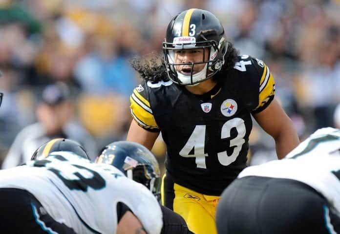 Troy Polamalu headlines the Pro Football Hall of Fame Class of 2020