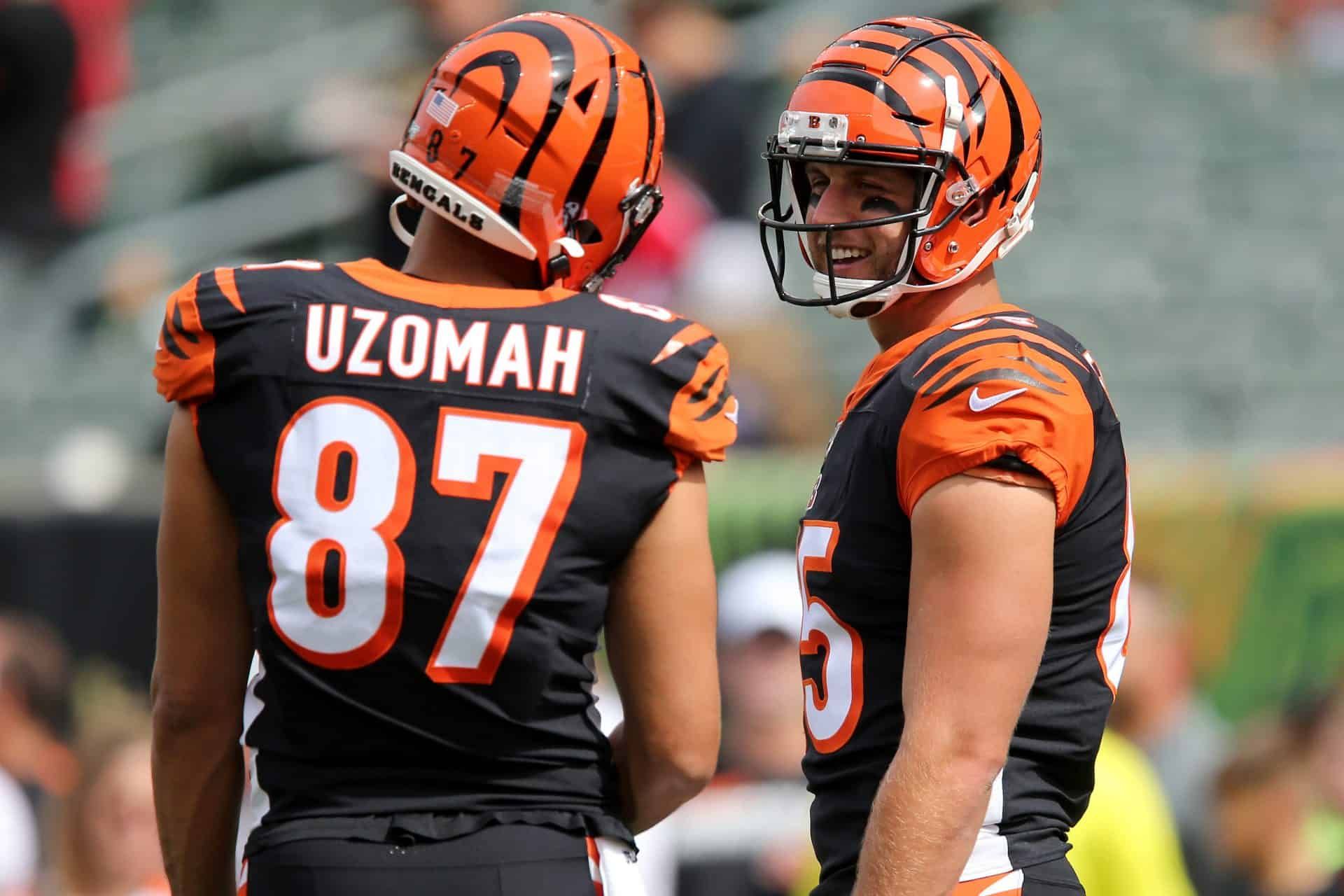 Bengals 2020 Training Camp Preview: Tight End
