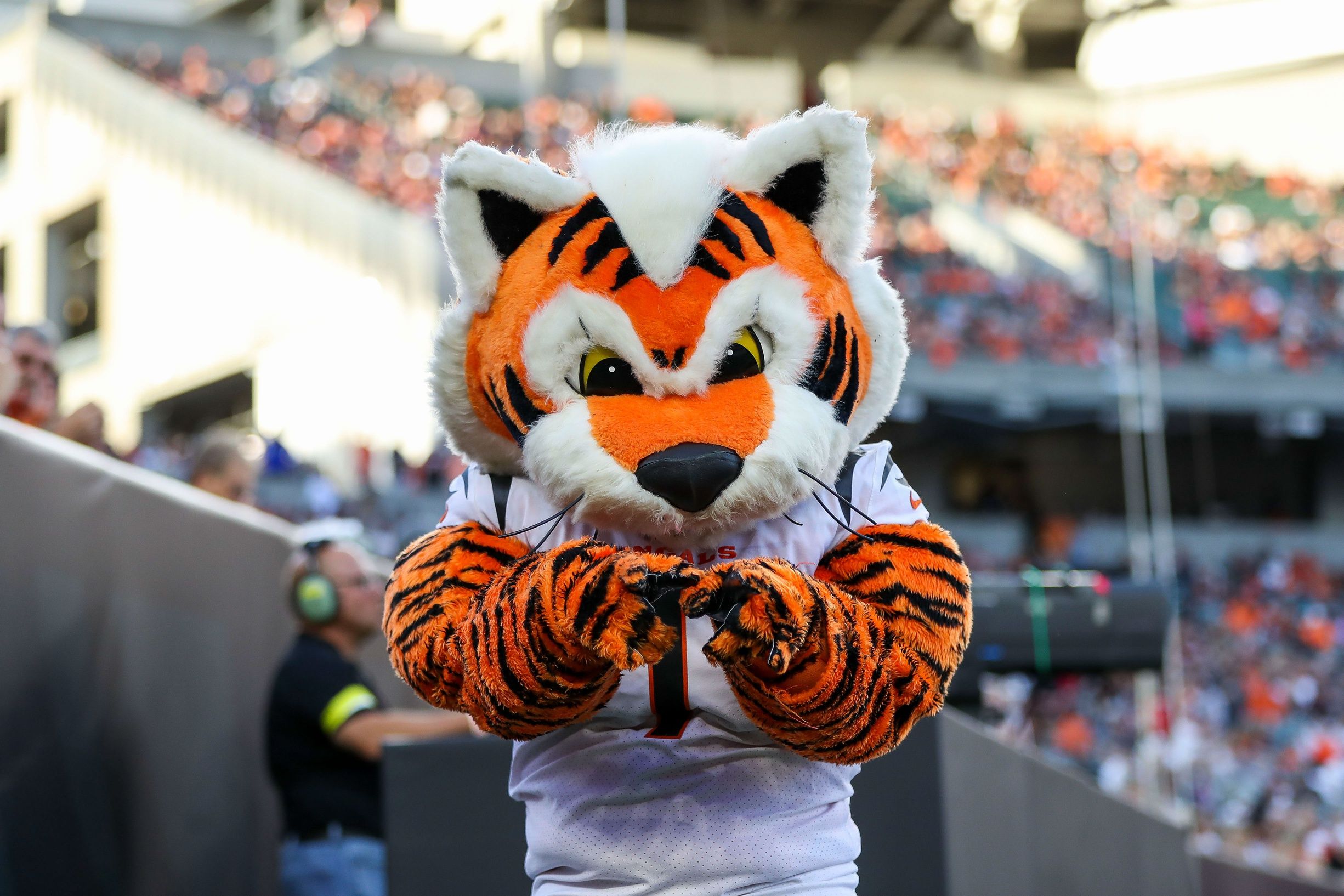Nfl mascots discount