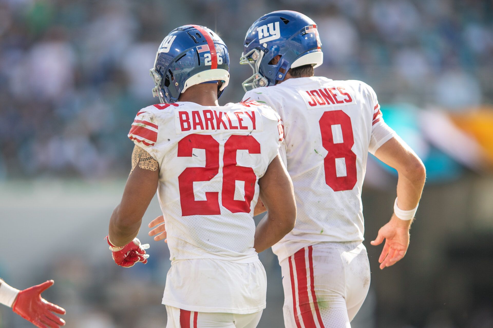 What Can the New York Giants and Minnesota Vikings Tell Us About Sustainability