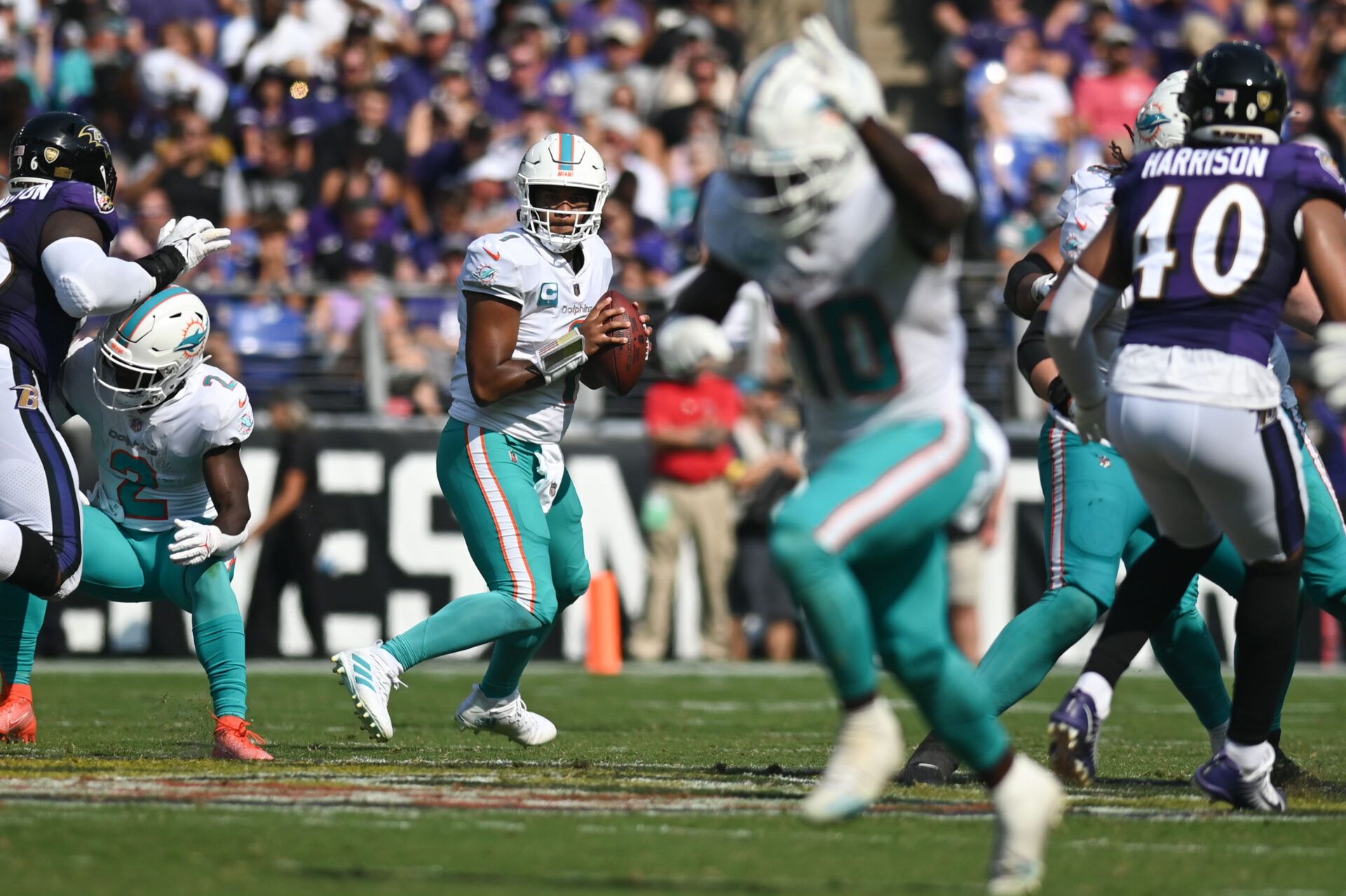 Steelers vs. Dolphins Week 7 Preview and Prediction