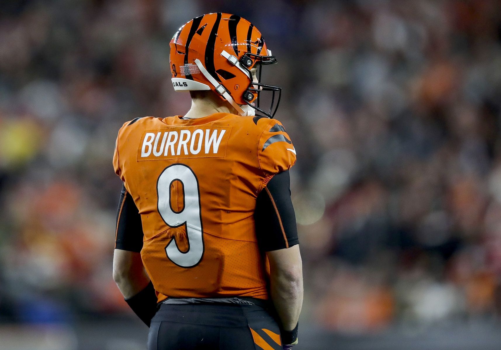 NFL Playoff Picture and Clinching Scenarios Week 13: Bengals Defeat Chiefs to Set Up a Wild Finish in the AFC