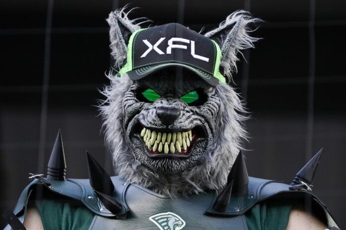 An XFL fan during the second half of a game between the Arlington Renegades and the Orlando Guardians.