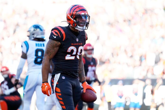 Cincinnati Bengals RB Joe Mixon (28) celebrates after a touchdown against Carolina.