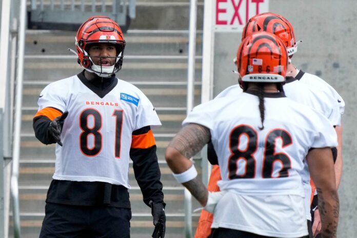 Cincinnati Bengals TE Irv Smith Jr. (81) lines up to do drills during minicamp.