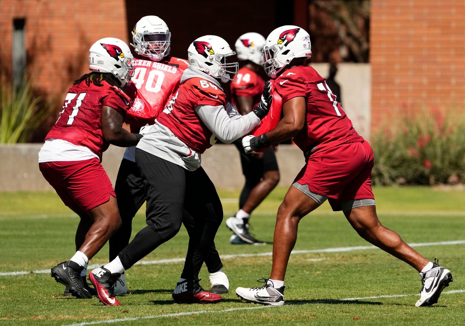 Arizona Cardinals offensive linemen during the team's minicamp.