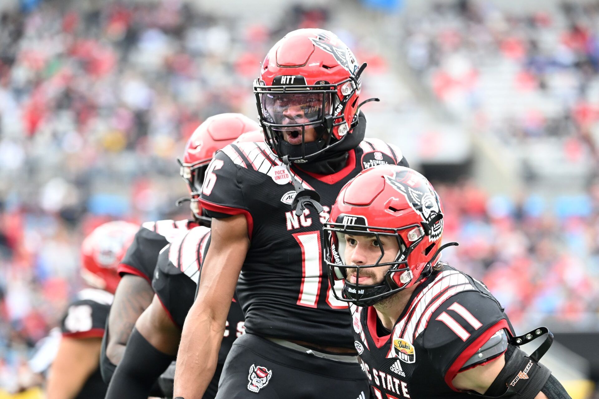 NC State Wolfpack safety Rakeim Ashford (16) reacts with linebacker Payton Wilson (11) after intercepting the ball.