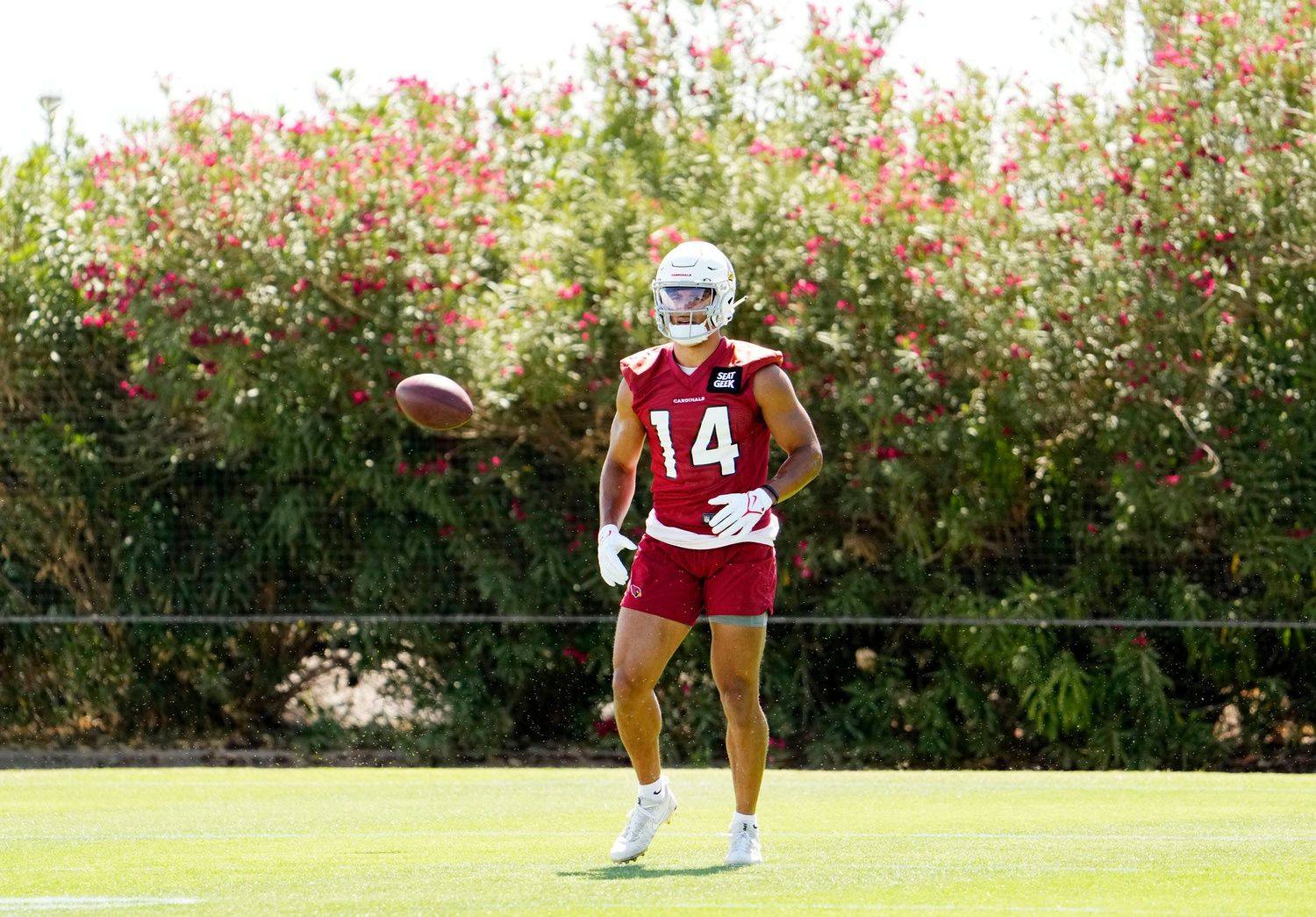 Michael Wilson (14) during minicamp at the Cardinals Dignity Health Training Center.