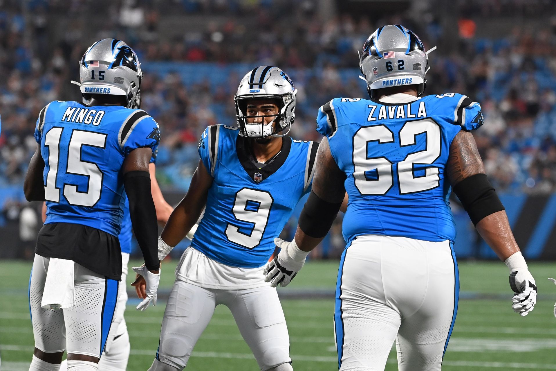 Carolina Panthers players celebrate a touchdown pass.