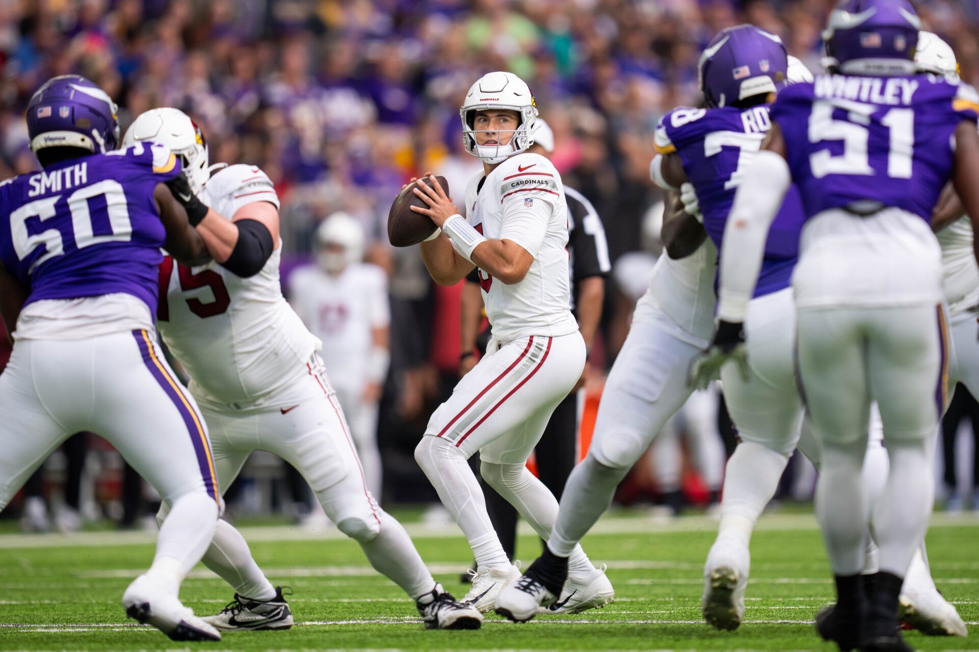 Arizona Cardinals QB Clayton Tune (15) drops back to pass against the Minnesota Vikings.