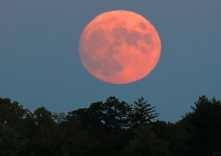 The waxing gibbous Hunter's Moon rises in the sky over White Plains Oct. 20, 2021.