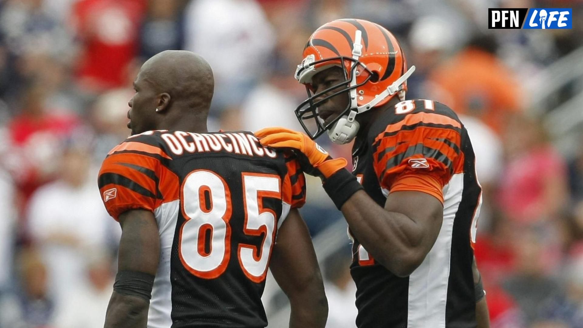 Cincinnati Bengals wide receiver Terrell Owens (81) talks with wide receiver Chad Ochocinco (85) during the second half against at Gillette Stadium. The Patriots defeated the Bengals 38-24.