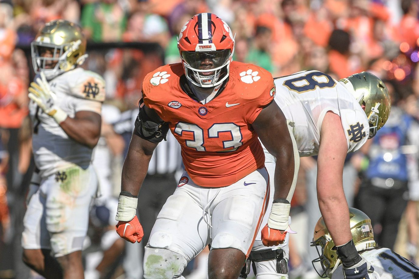 Clemson Tigers defensive tackle Ruke Orhorhoro (33) celebrates after a tackle against the Notre Dame Fighting Irish during the fourth quarter at Memorial Stadium.