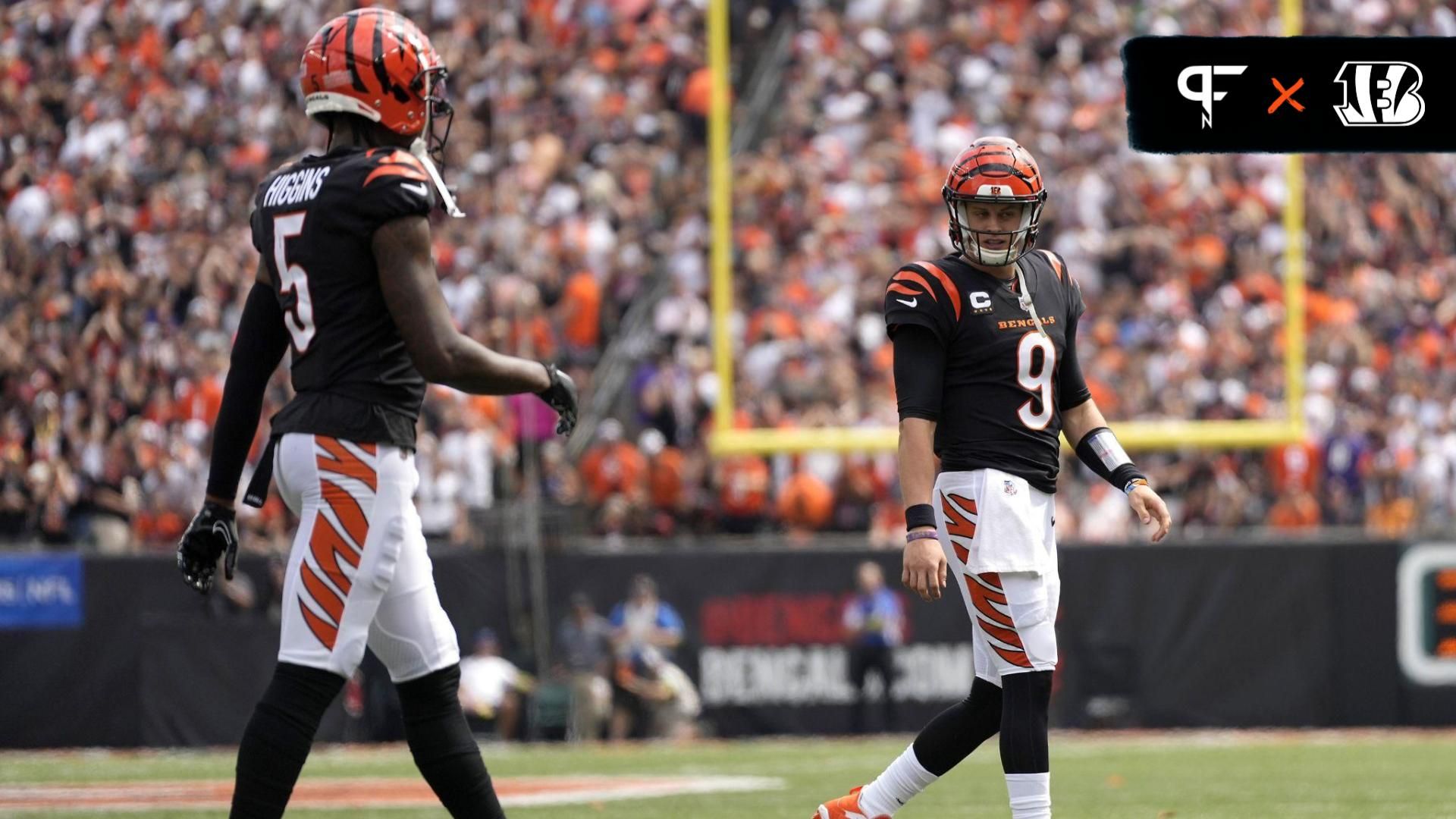 Cincinnati Bengals quarterback Joe Burrow (9) looks toward wide receiver Tee Higgins (5) while coming off the field in the second quarter against the Baltimore Ravens at NRG Stadium.