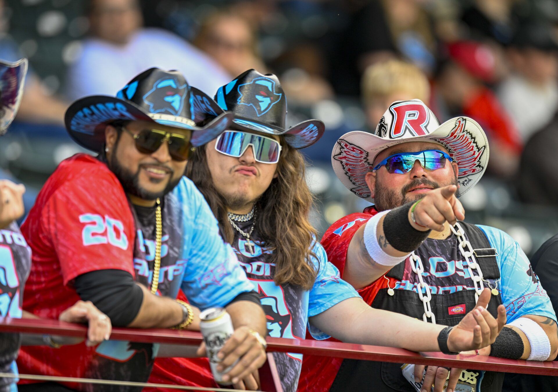 A view of fans in attendance of the Arlington Renegades-Birmingham Stallions' UFL game.