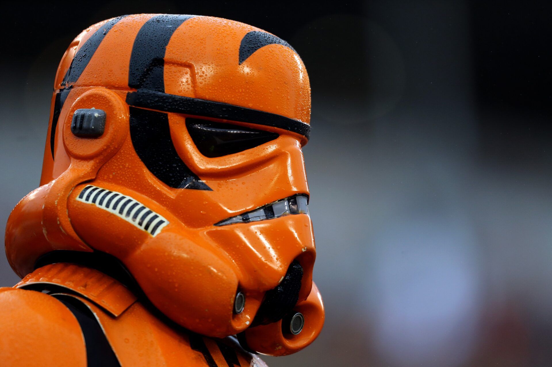 A fan dressed as a Bengals themed Star Wars Storm Trooper during the game of the Pittsburgh Steelers against the Cincinnati Bengals in the second half at Paul Brown Stadium. Mandatory Credit: Aaron Doster-USA TODAY Sports