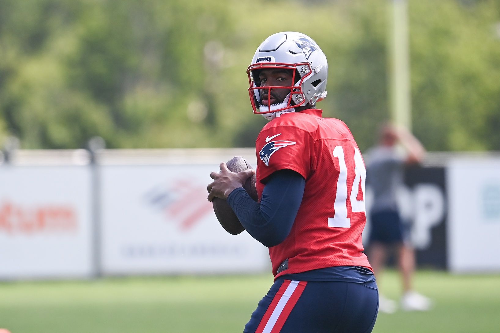 New England Patriots QB Jacoby Brissett (14) looks to throw a pass during training camp.