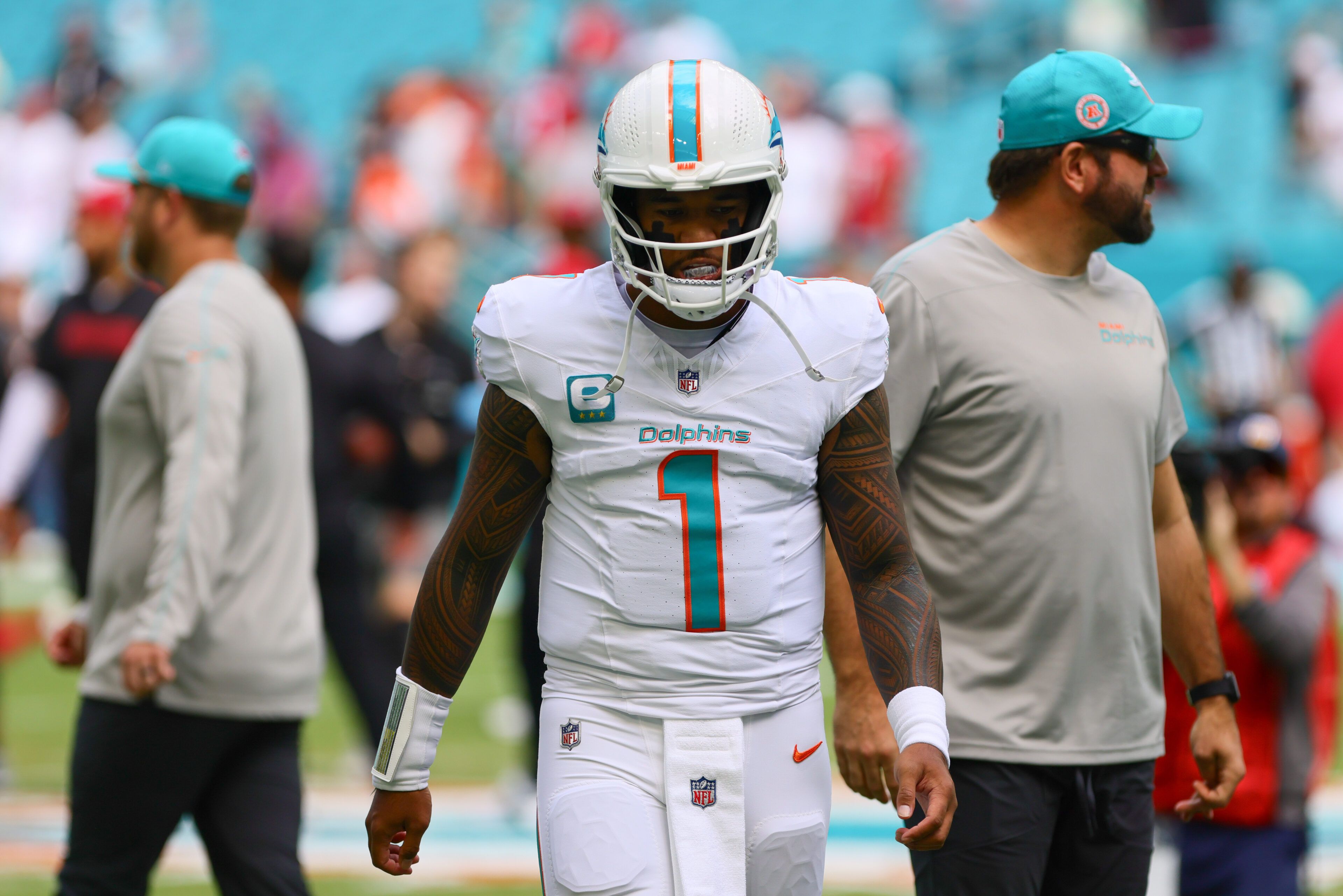 nfl-survivor-picks-week-11-insights-into-why-dolphins-vikings-lions