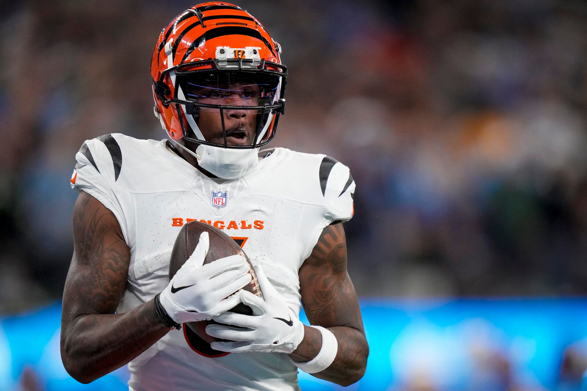 Nov 17, 2024; Inglewood, CA, USA; Cincinnati Bengals wide receiver Tee Higgins (5) catches a deep pass for a touchdown in the third quarter against the Los Angeles Chargers at SoFi Stadium. Mandatory Credit: Sam Greene/USA TODAY Network via Imagn Images