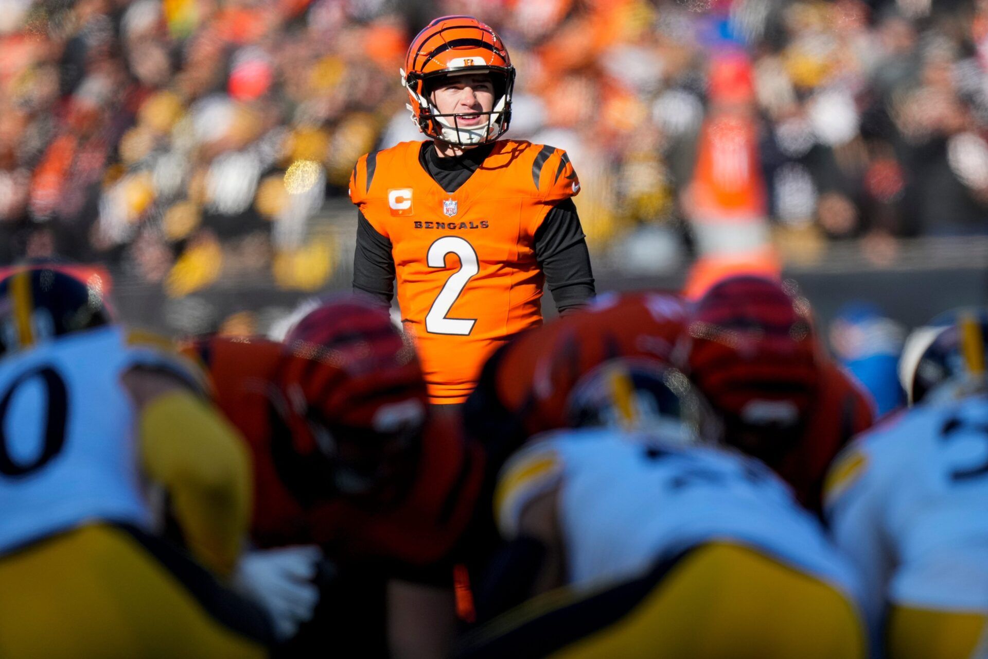 What Happened to Evan McPherson? How Cade York Became the Bengals' Week 18 Starter