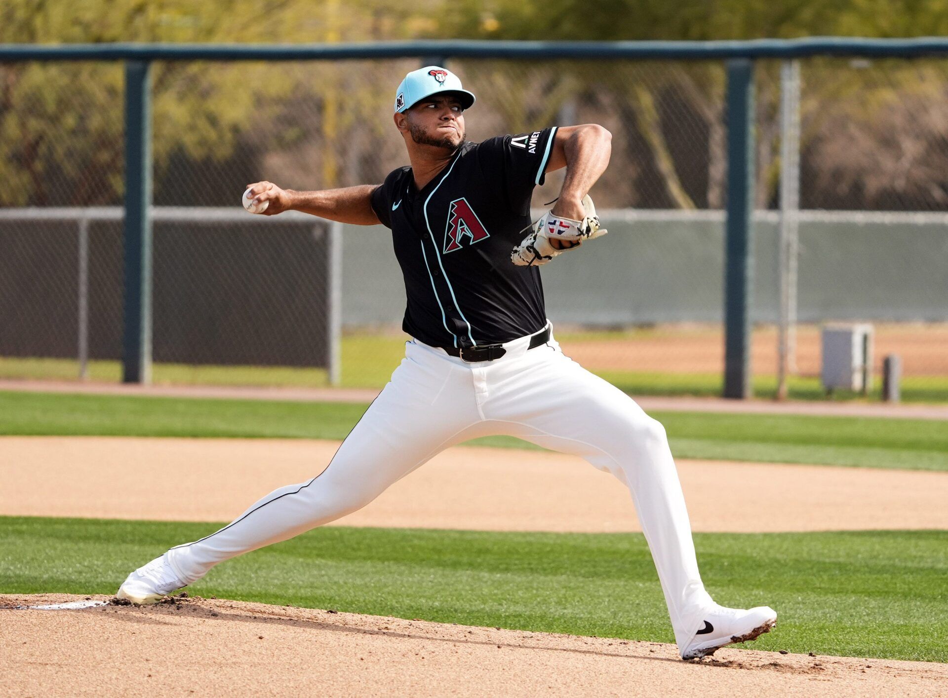 With baseball season around the corner, we’ve spotted a MLB future bet that carries some value, and it has to do with the Arizona Diamondbacks.