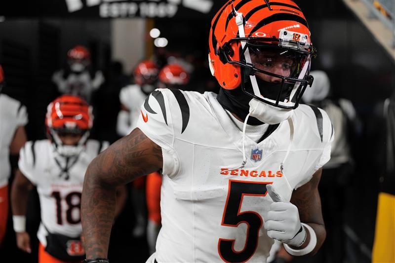 Bengals wide receiver Tee Higgins could be playing his last game for Cincinnati as he'll be a free agent after this season.