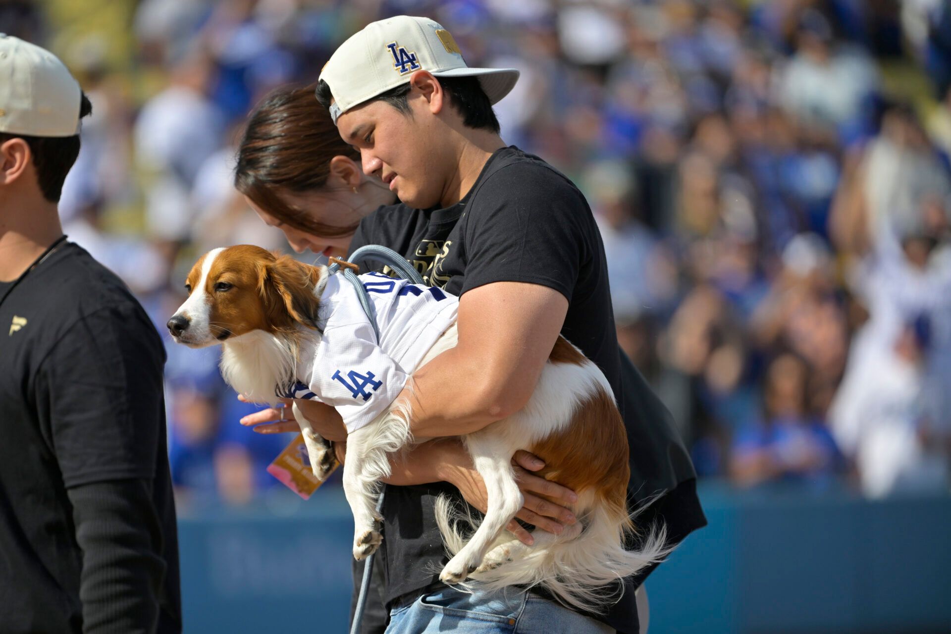 Shohei Ohtani’s return to Japan is pure hype. Fans packed the Tokyo Dome for a workout, and his T-shirt with Kenta Maeda’s artwork has everyone talking.