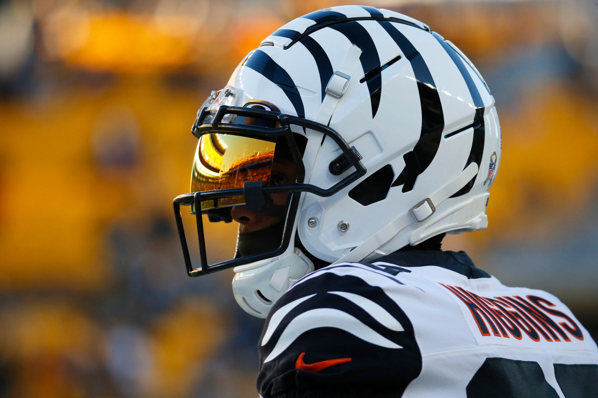 PITTSBURGH, PENNSYLVANIA - NOVEMBER 20: Tee Higgins #85 of the Cincinnati Bengals looks on during pregame against the Pittsburgh Steelers at Acrisure Stadium on November 20, 2022 in Pittsburgh, Pennsylvania. (Photo by Justin K. Aller/Getty Images)