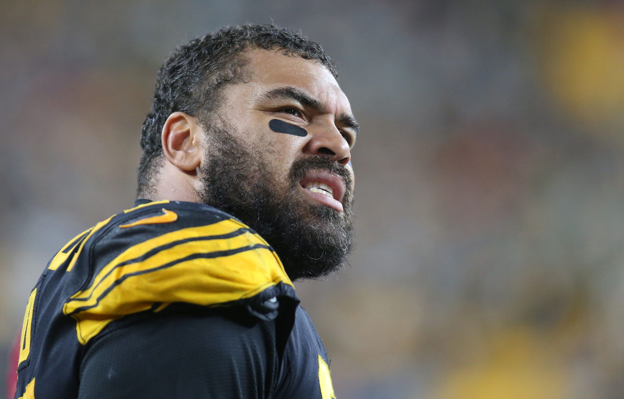 Cam Heyward: Beyond The Gridiron (Jason Mackey’S Comprehensive Report) - bls9qvt