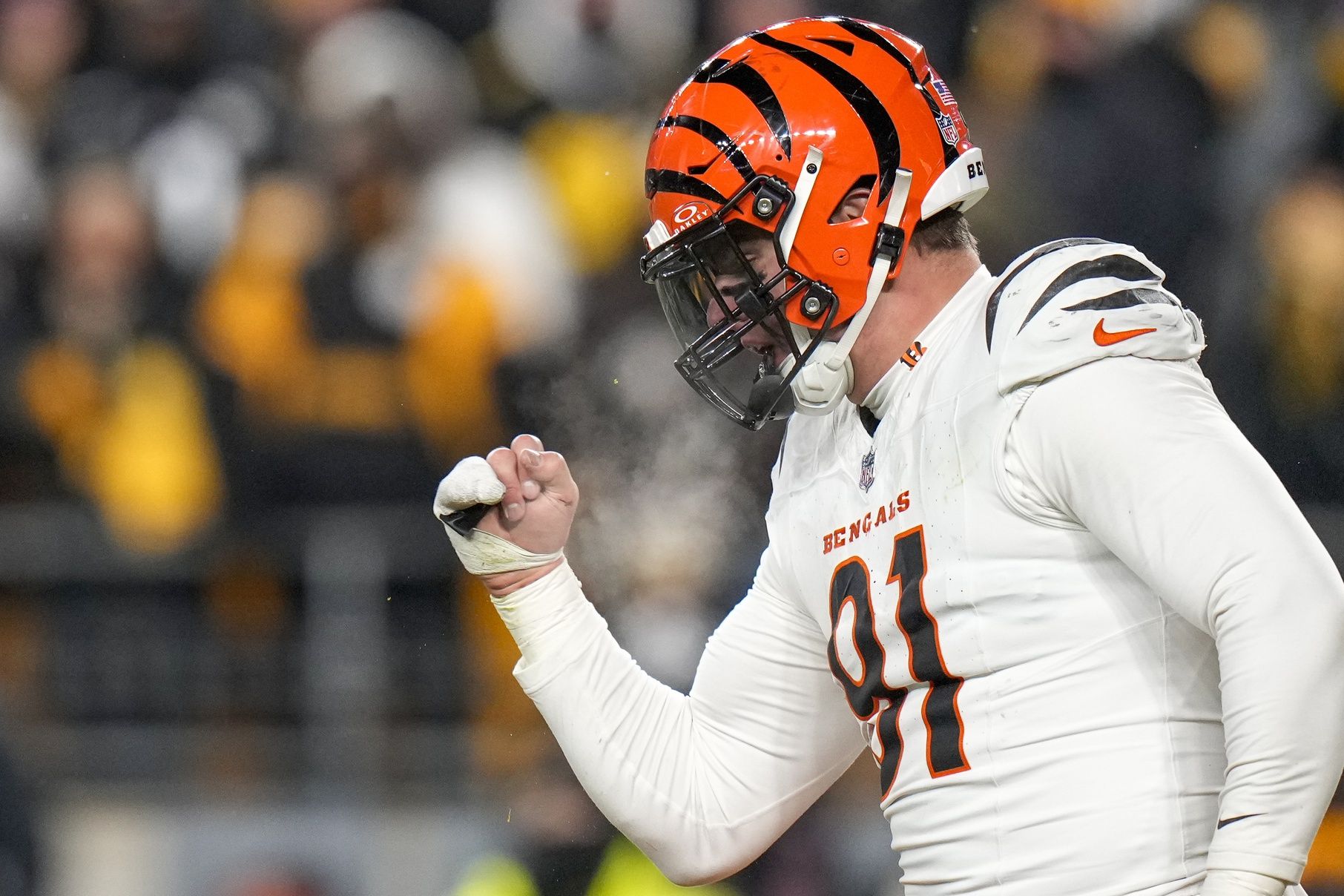 Cincinnati Bengals defensive end Trey Hendrickson (91) celebrates as the Pittsburgh Steelers prepare to punt in the fourth quarter at Acrisure Stadium. The Bengals won 19-17 to finish the regular season at 9-8.
