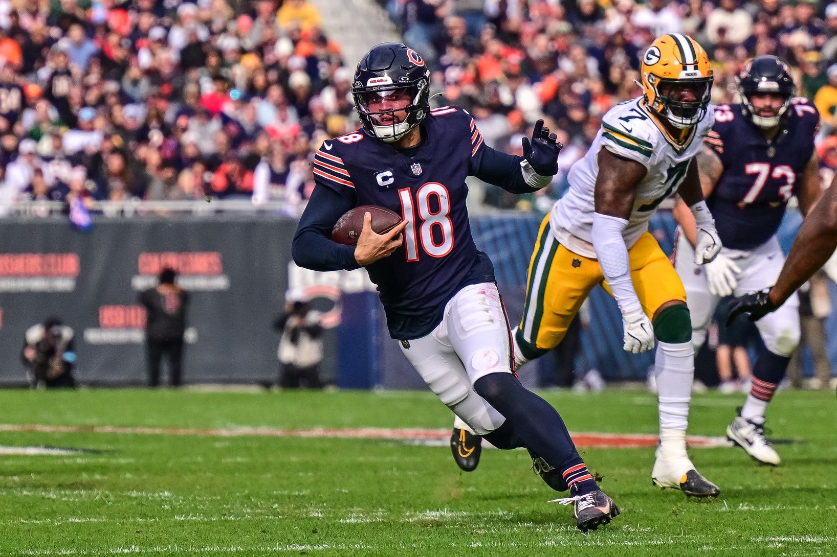 Bears Predicted To Land 6'6