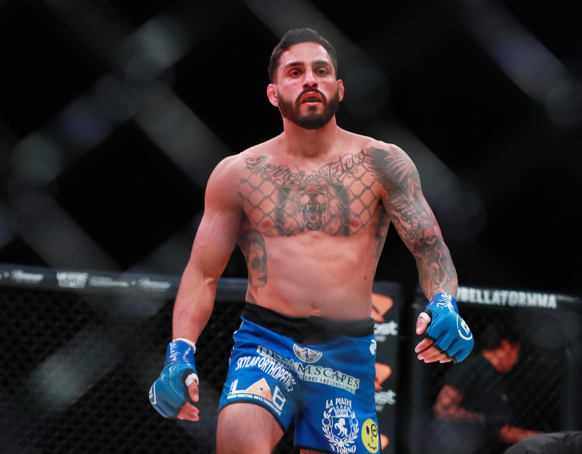 Jan 26, 2019; Los Angeles, CA, USA; Henry Corrales (blue gloves) defeats Aaron Pico (red gloves) during Bellator 214 at The Forum. Mandatory Credit: Dave Mandel-USA TODAY Sports