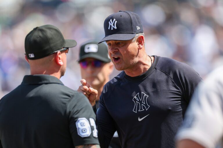 New York Yankees manager Aaron Boone (17) argues with umpire Scott Berry (87) against the Tampa Bay Rays in the eighth inning at George M. Steinbrenner Field.