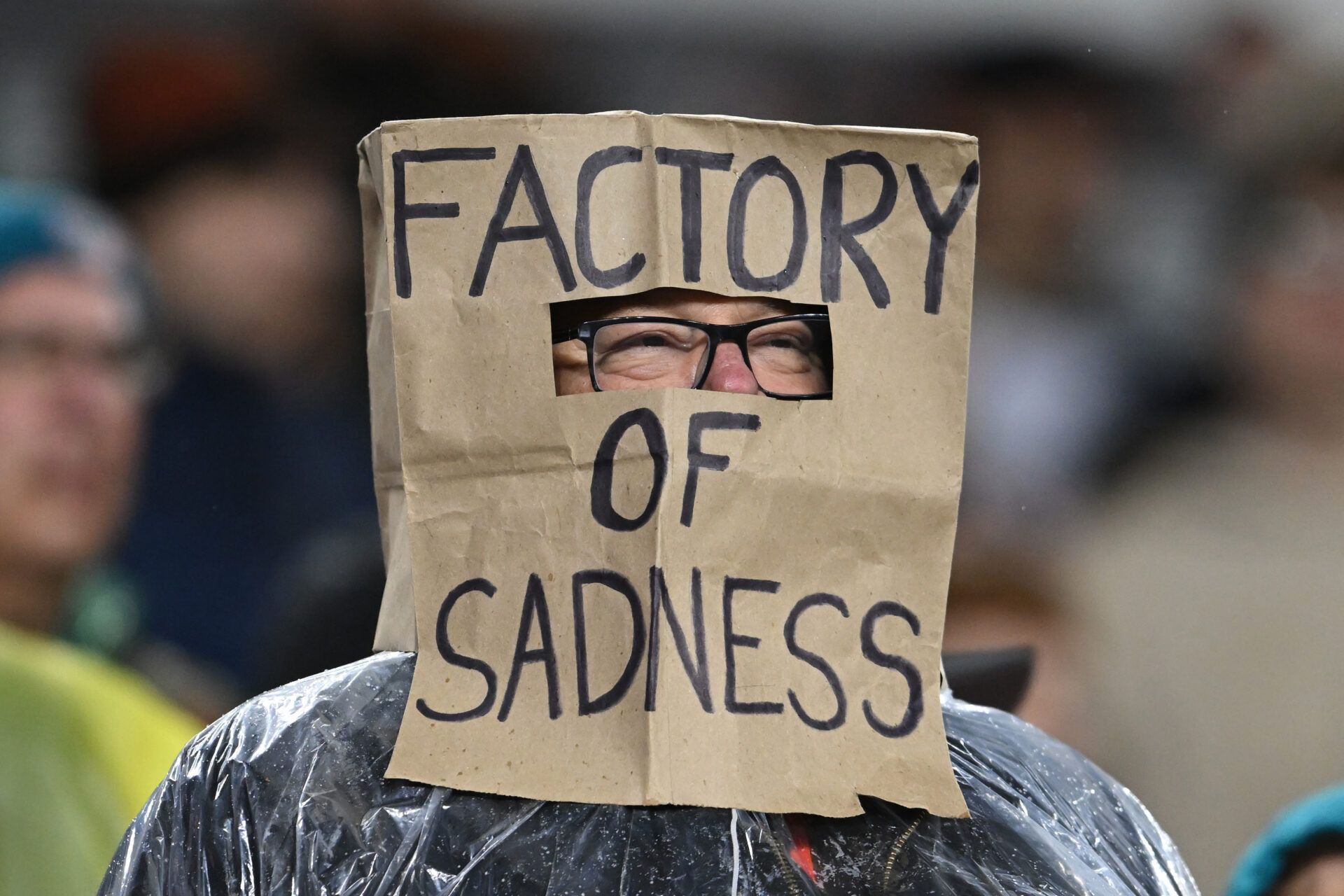 CLEVELAND, OHIO - DECEMBER 29: A fan reacts in the game between the Miami Dolphins and the Cleveland Browns at Huntington Bank Field on December 29, 2024 in Cleveland, Ohio. (Photo by Nick Cammett/Getty Images)