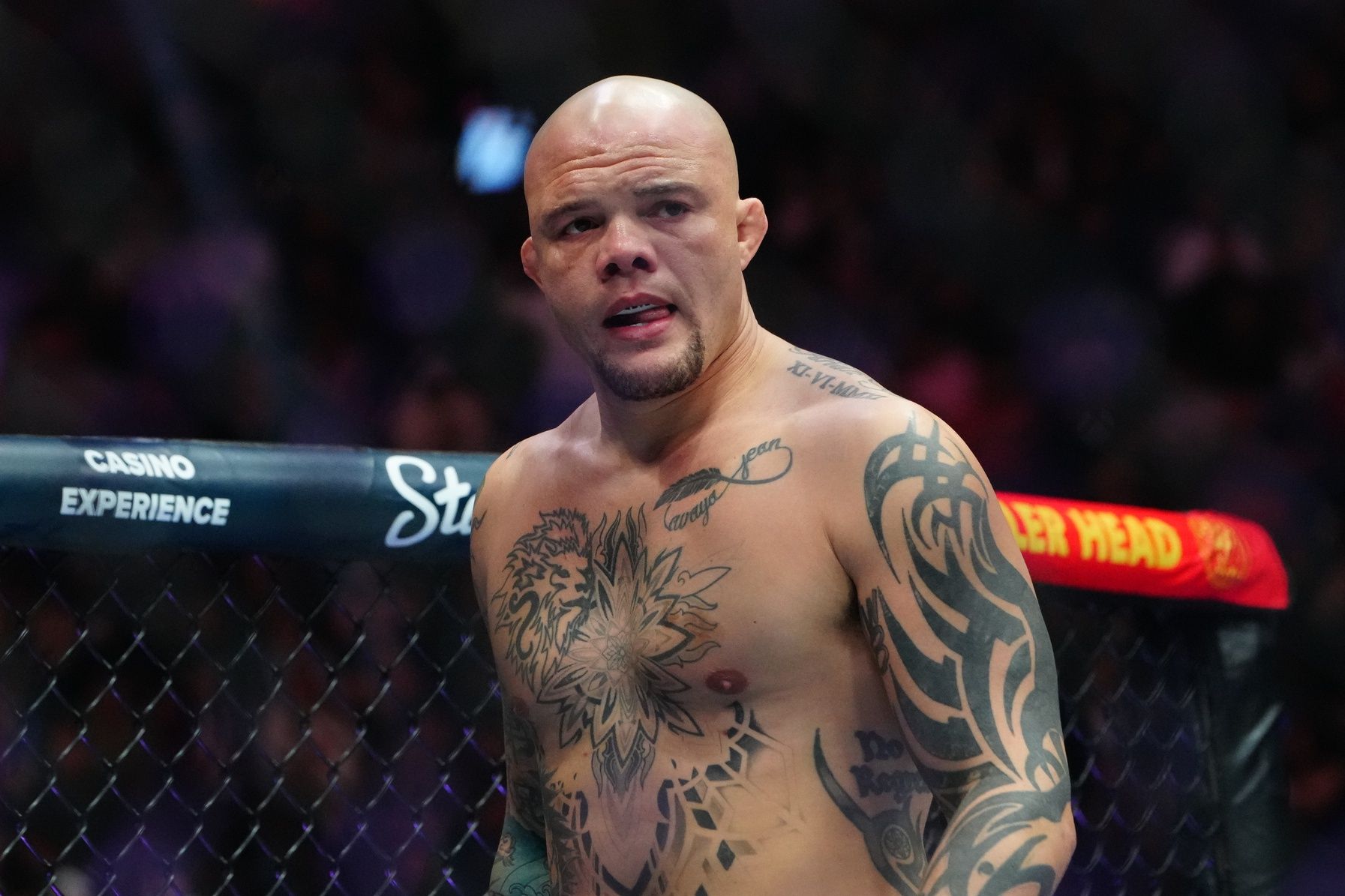 Anthony Smith UFC record