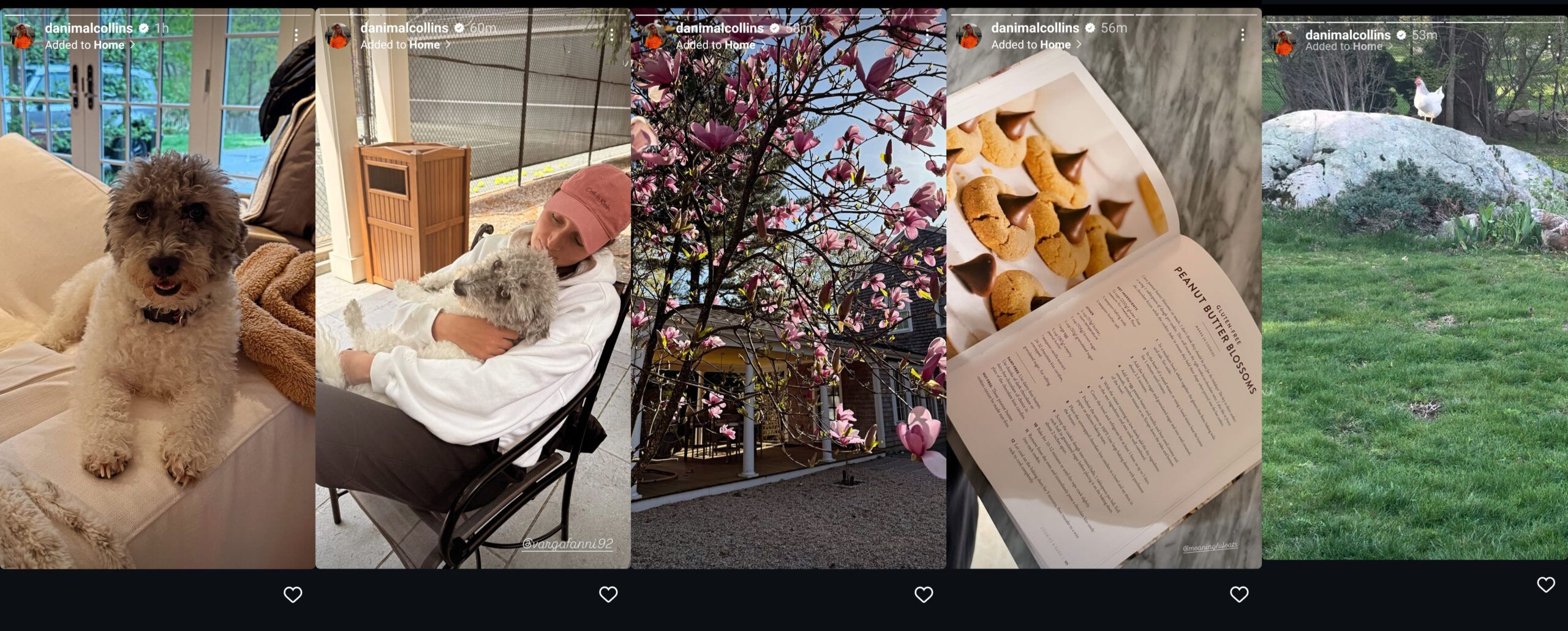 Screen grab of Danielle Collins' Instagram stories