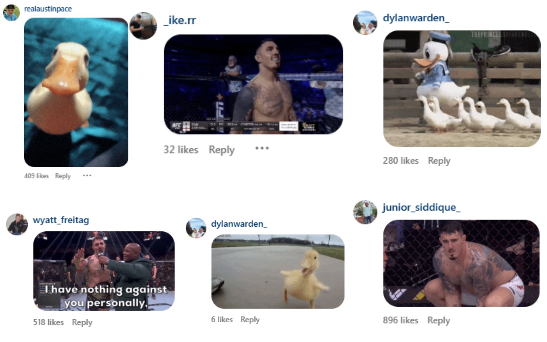 Fans post Tom Aspinall and duck memes on Jon Jones' video (Image source: Jones' Instagram)