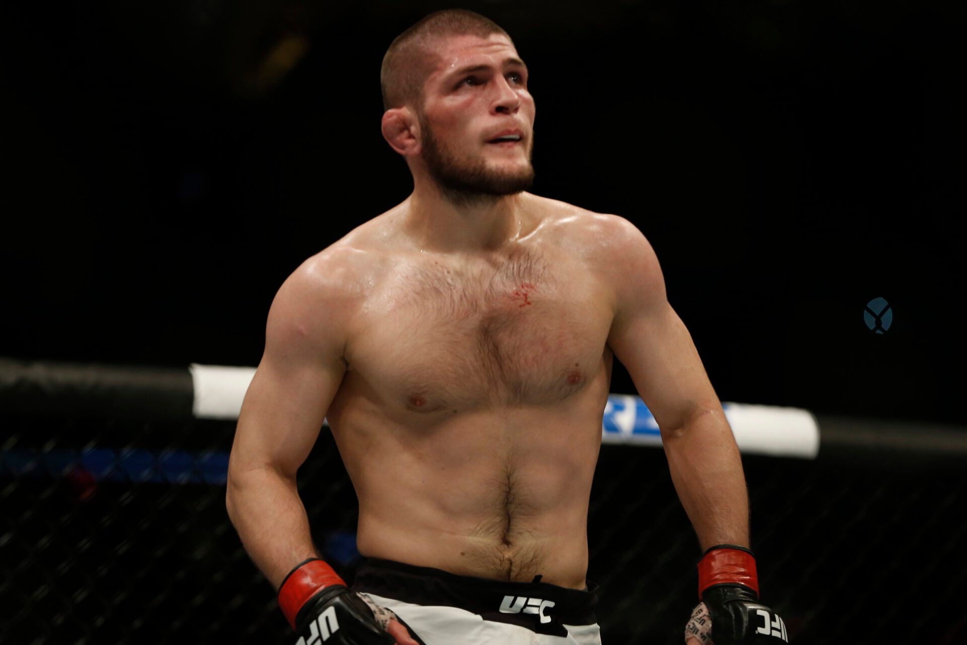 Apr 16, 2016; Tampa, FL, USA; Khabib Nurmagomedov (red gloves) reacts after defeating Darrell Horcher (blue gloves) in the catchweight bout (bout 9) during UFC Fight Night at Amalie Arena. Mandatory Credit: Reinhold Matay-USA TODAY Sports