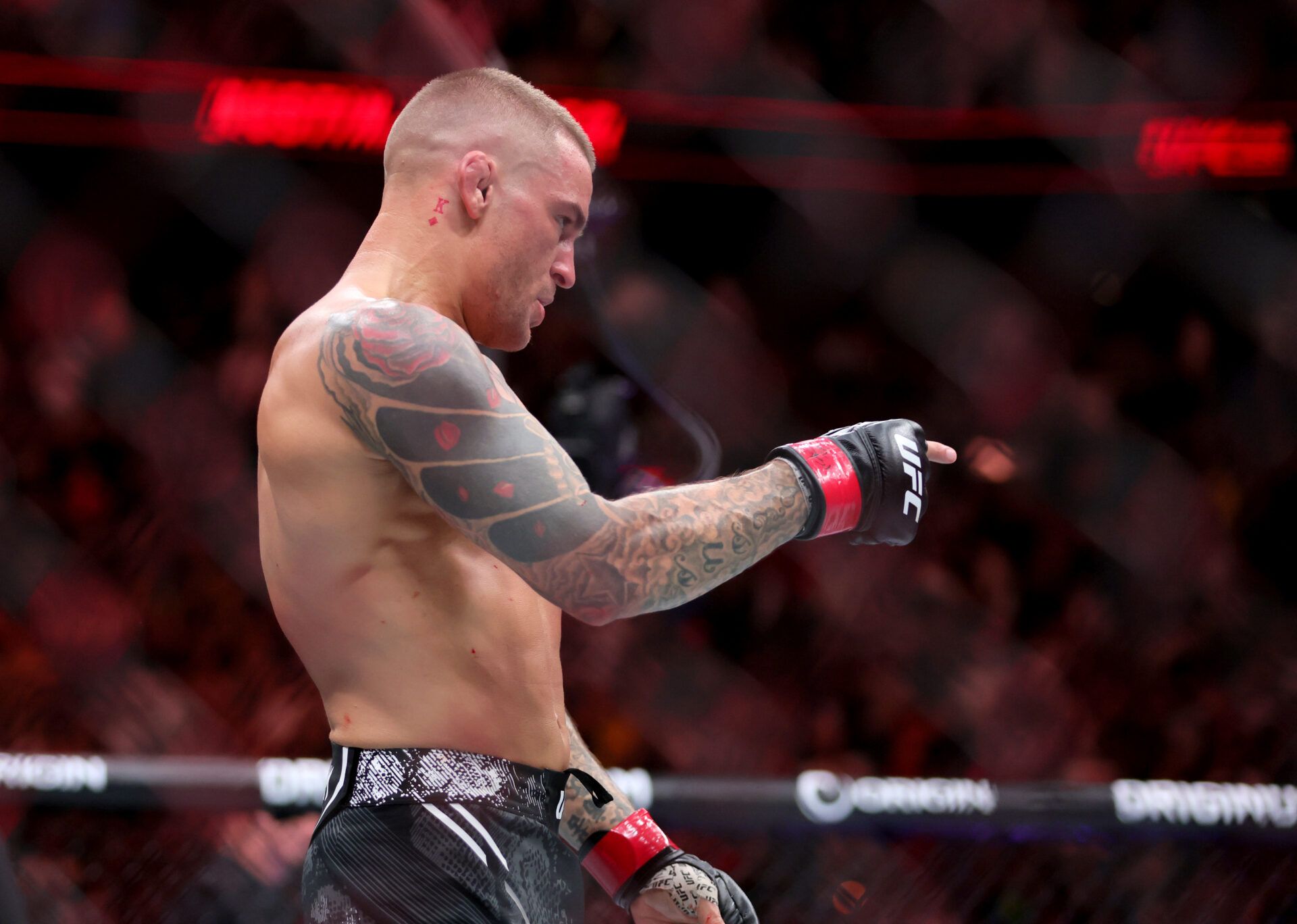 Mar 9, 2024; Miami, Florida, USA; Dustin Poirier reacts after knocking out Benoit Saint Denis during UFC 299 at Kayesa Center. Mandatory Credit: Sam Navarro-USA TODAY Sports