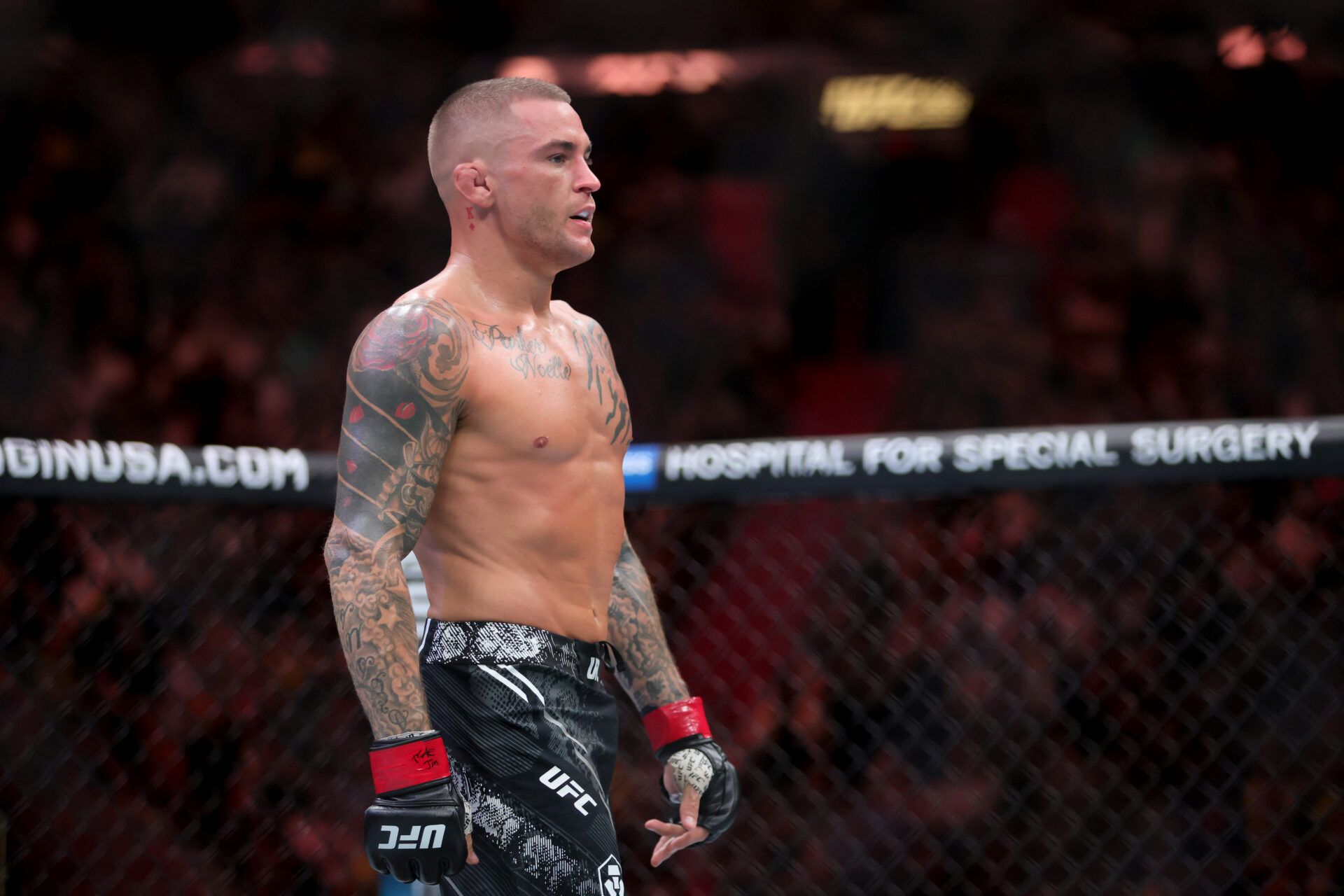Mar 9, 2024; Miami, Florida, USA; Benoit Saint Denis (blue gloves) fights Dustin Poirier (red gloves) during UFC 299 at Kayesa Center. Mandatory Credit: Sam Navarro-USA TODAY Sports