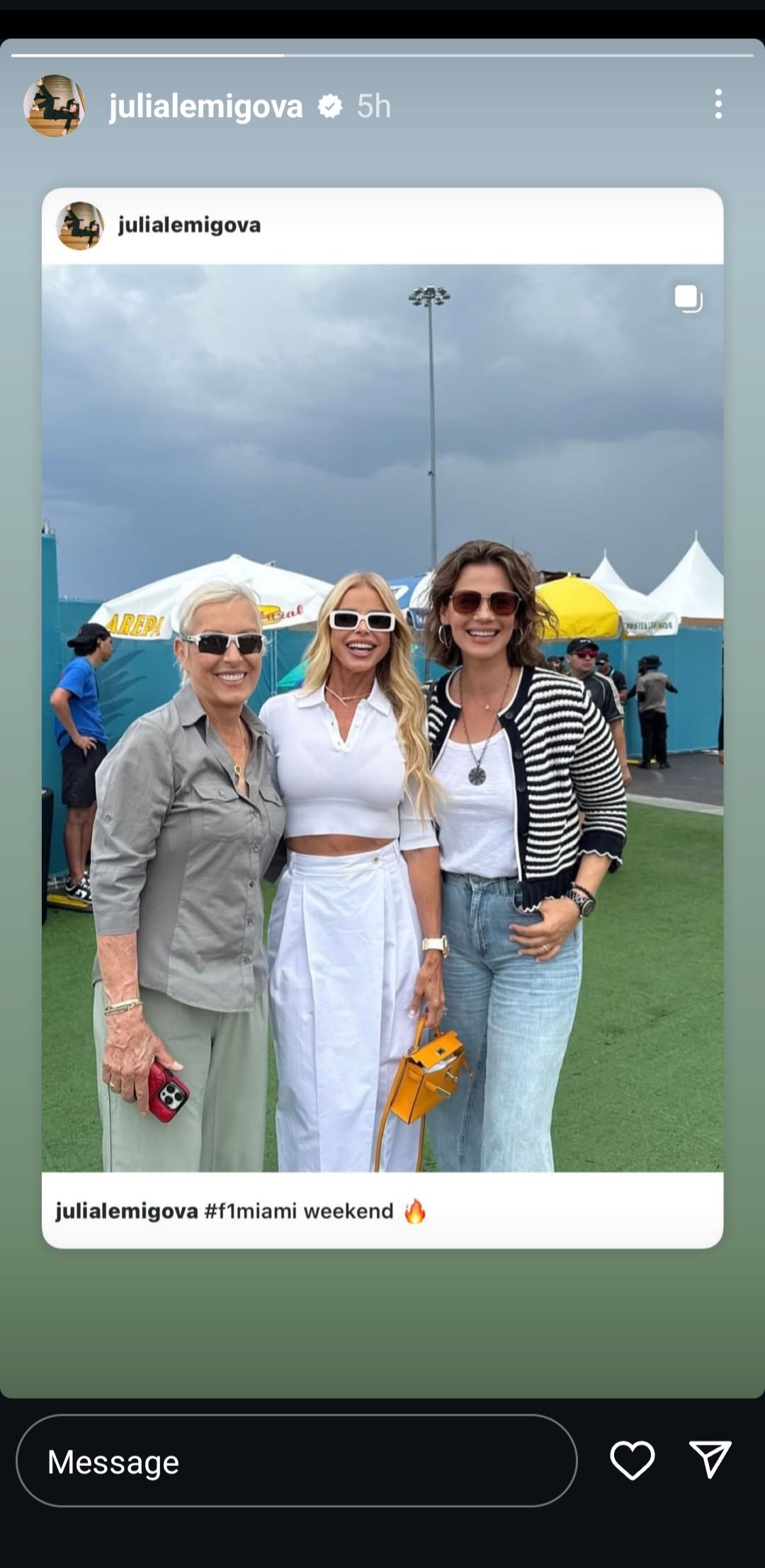 Screen grab of Martina Navratilova's wife Julia Lemigova's Instagram story