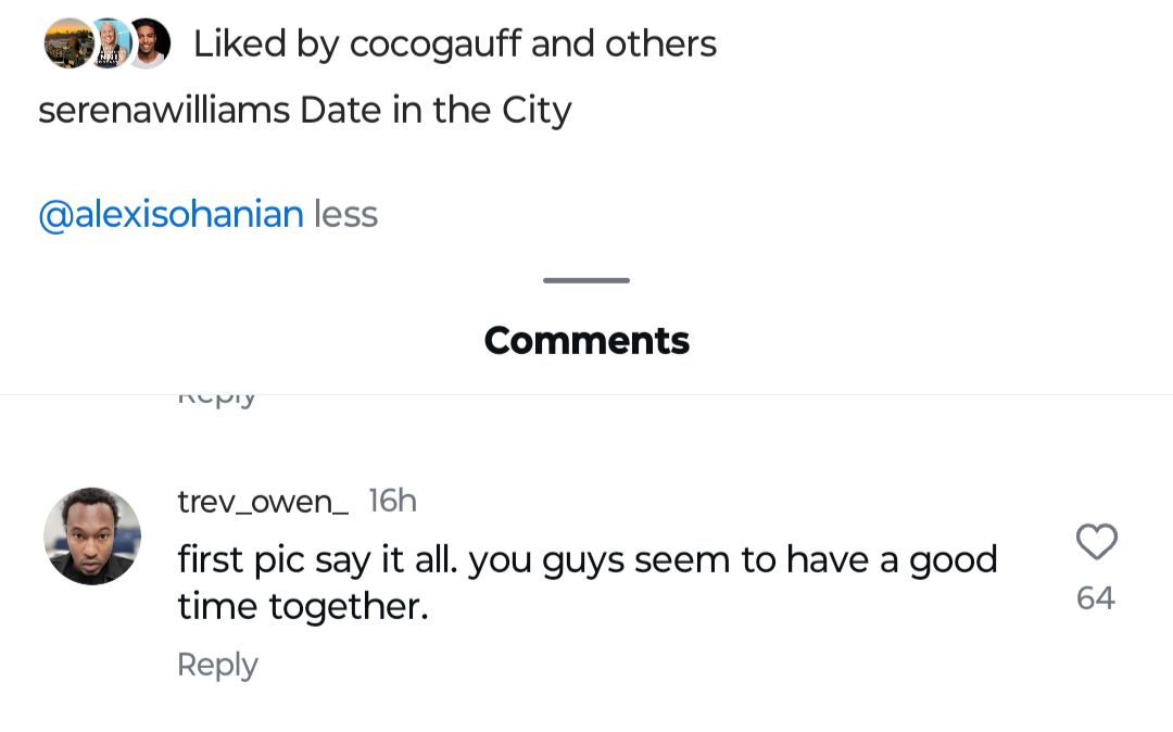 Screen grab of a fan to Serena Williams' pictures
