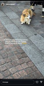 Screengrab of Sebastian Korda’s girlfriend Ivana Nedved's Instagram stories (@ivananedved)
