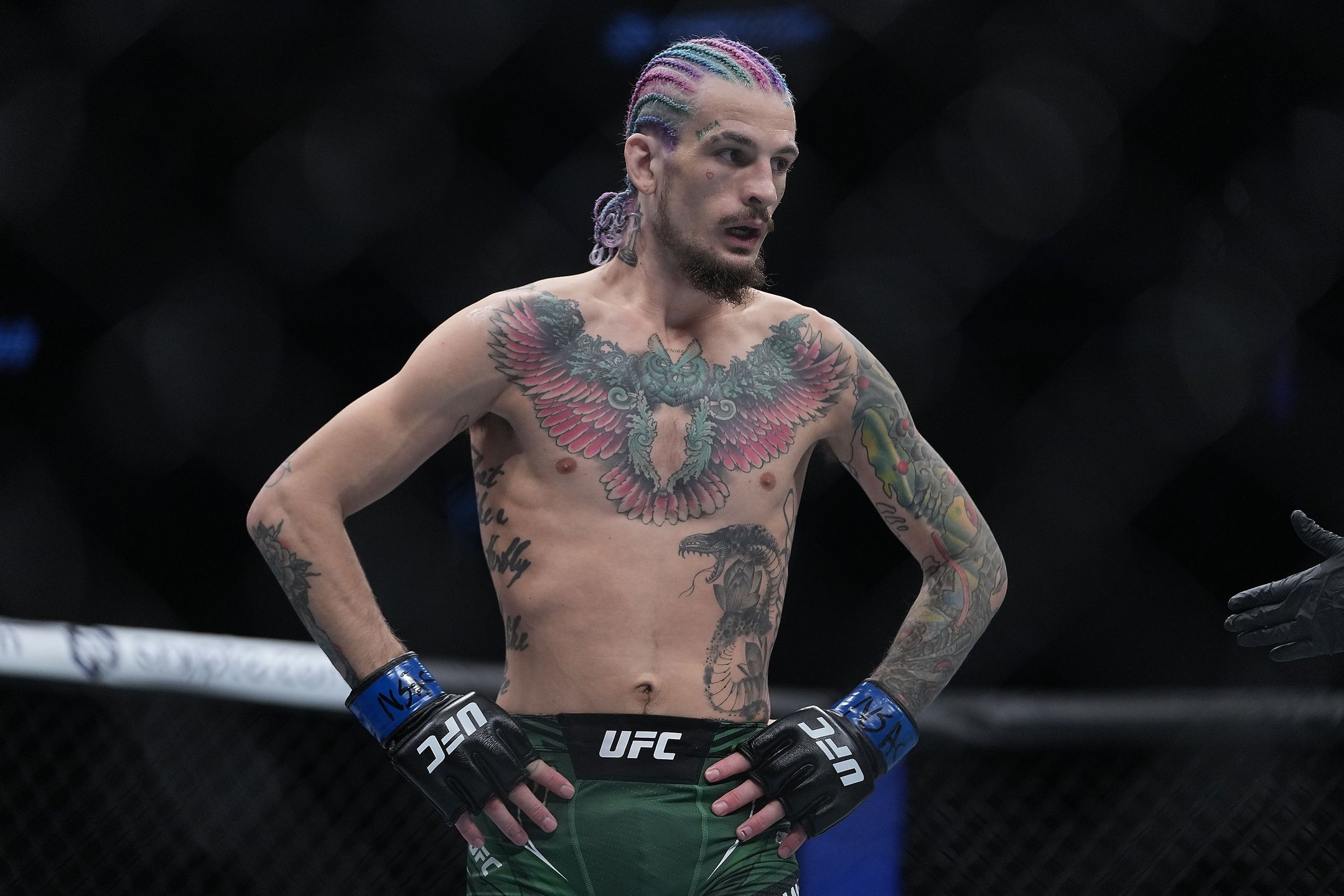 Following Tough Rematch Loss, Sean O’Malley Reveals Return Timeline
