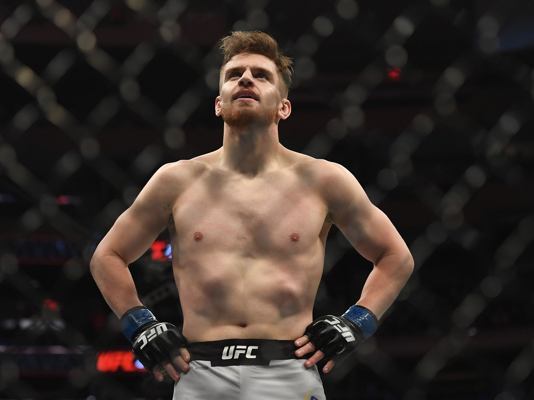 Edmen Shahbazyan (blue gloves) defeats Brad Tavares (Red gloves) during UFC 244 at Madison Square Garden.