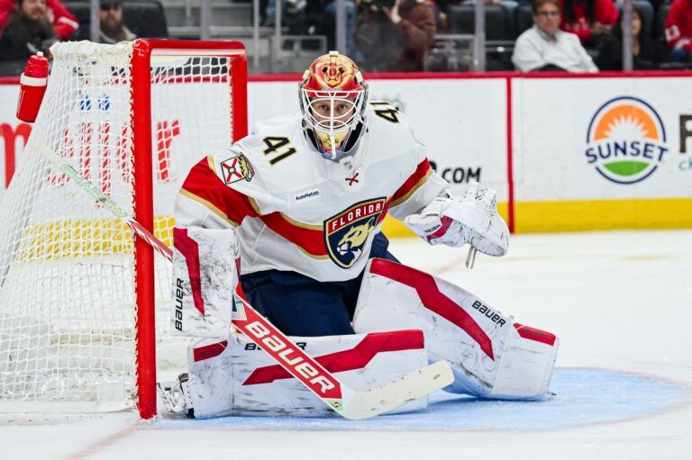 Florida Panthers goaltender Vitek Vanecek (41) during the second period against the Detroit Red Wings at Little Caesars Arena.