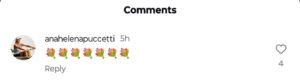Screengrab of Aryna Sabalenka's boyfriend's mother's comment on her Instagram post/@arynasabalenka
