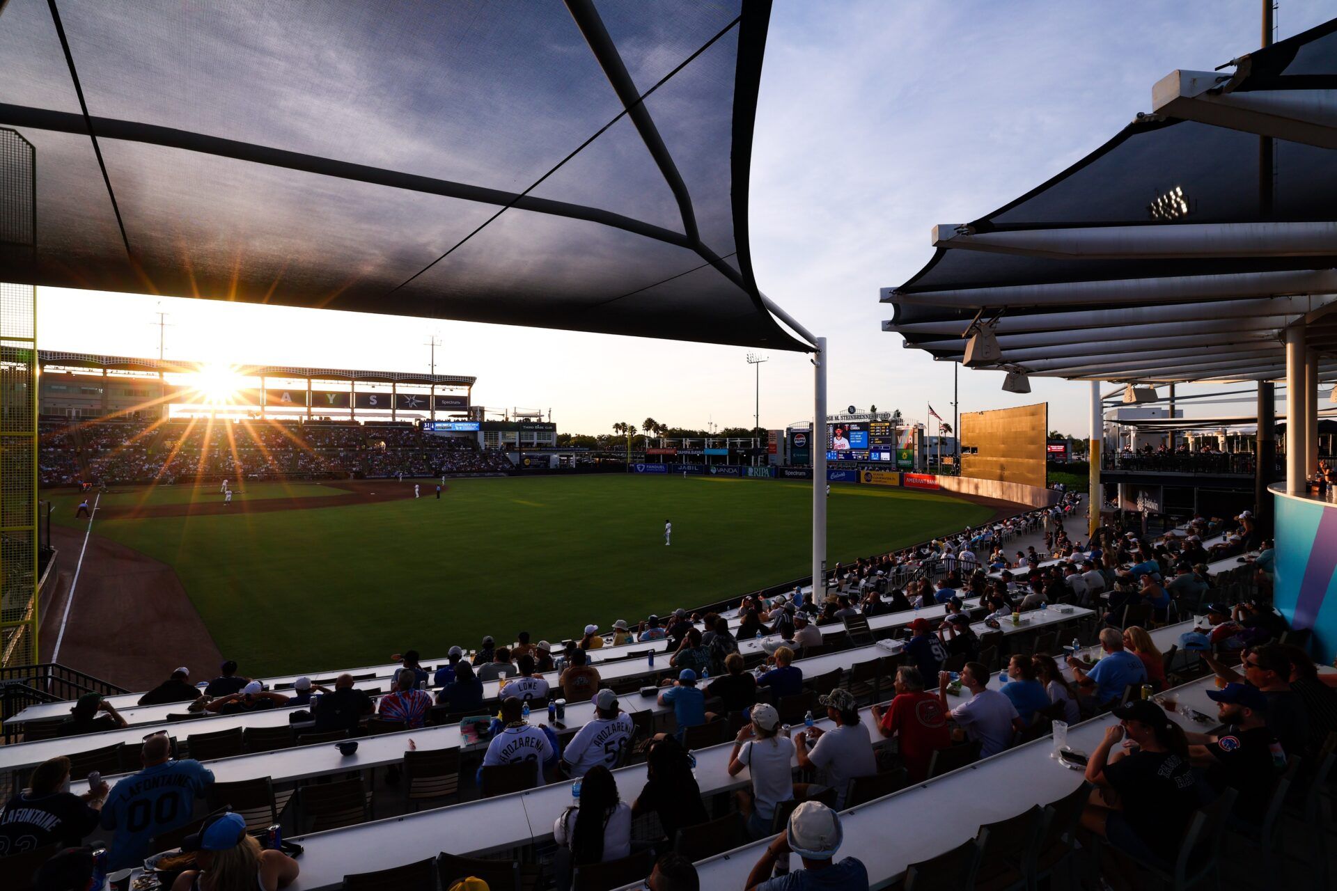 fans watch a MLB game between the Tampa Bay Rays and the Minnesota Twins at George M. Steinbrenner Field.