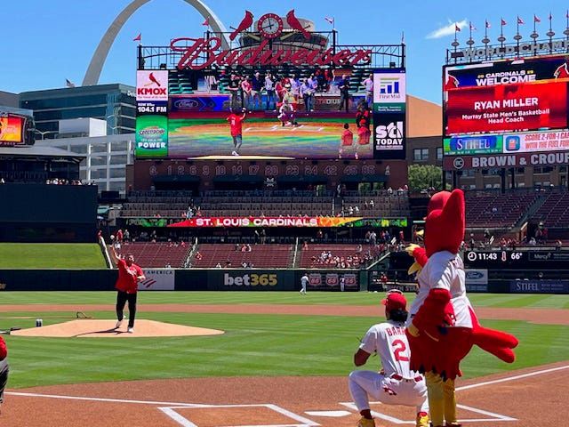Mitchell native and former Northern State University basketball standout Ryan Miller, the new head men's basketball coach at Murray (Ky) State throws out the ceremonial first pitch prior to a Major League Baseball game between St. Louis Cardinals and the Detroit Tigers in May of 2025 at Busch Stadium in St. Louis, Mo. Cardinals infielder Jose Barrero caught the pitch in front of mascot Fredbird.