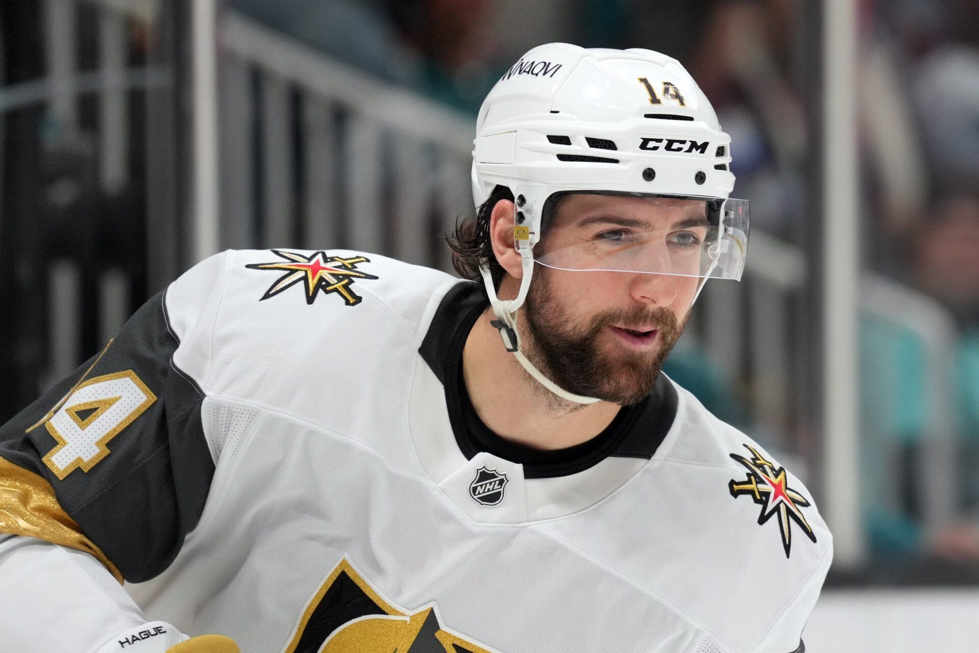 Vegas Golden Knights defenseman Nicolas Hague (14) during the second period against the San Jose Sharks at SAP Center at San Jose.